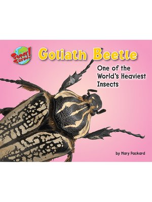 cover image of Goliath Beetle